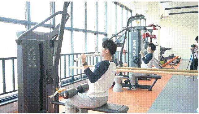 高拉低拉訓練器 高拉低拉訓練器